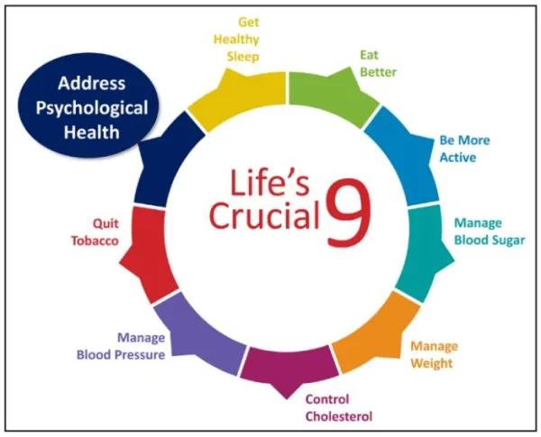心理健康，应列入“生命九个关键要素（Life's Crucial 9）”！Circulation观点文章